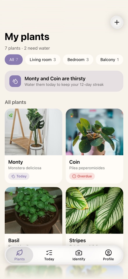 Leaflet — My plants